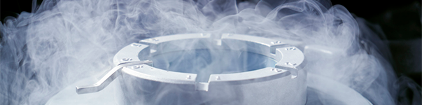 Home- Others- Cryogenics